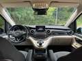 Mercedes-Benz Marco Polo 250 d EDITION Negro - thumbnail 9