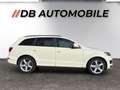 Audi Q7 3,0 TDI V6 quattro Tiptronic Weiß - thumbnail 4