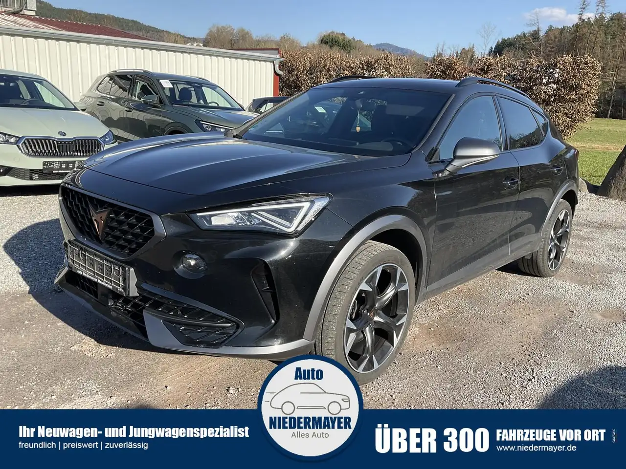 Cupra Formentor 2.0 TSI DSG 4Drive, Pano, AHK, Side, 19-Zoll, el. — миниатюра 1