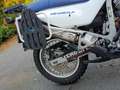 Honda Transalp honda transalp 600 Wit - thumbnail 6
