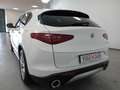 Alfa Romeo Stelvio 2.2 Turbodiesel 160 CV AT8 RWD Business Bianco - thumbnail 6