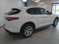 Alfa Romeo Stelvio 2.2 Turbodiesel 160 CV AT8 RWD Business Bianco - thumbnail 4