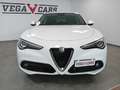 Alfa Romeo Stelvio 2.2 Turbodiesel 160 CV AT8 RWD Business Bianco - thumbnail 2