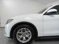 Alfa Romeo Stelvio 2.2 Turbodiesel 160 CV AT8 RWD Business Bianco - thumbnail 7