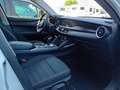 Alfa Romeo Stelvio 2.2 Turbodiesel 160 CV AT8 RWD Business Bianco - thumbnail 12