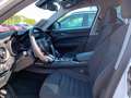 Alfa Romeo Stelvio 2.2 Turbodiesel 160 CV AT8 RWD Business Bianco - thumbnail 9