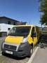 Fiat Ducato 33 L2H2 130 GR-Panorama Gelb - thumbnail 2