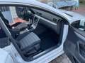 Volkswagen CC CC 2.0 bluetdi 140cv Blanc - thumbnail 10