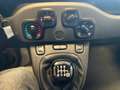 Fiat Panda Panda III 2021 1.0 firefly hybrid City Life s Gris - thumbnail 18