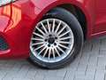 Mercedes-Benz V 220 d EDITION lang LED ILS AHK BURMEISTER STHZ Rouge - thumbnail 8