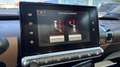 Citroen C4 Cactus 1.6 BlueHDi 100cv Shine S&S Schwarz - thumbnail 11