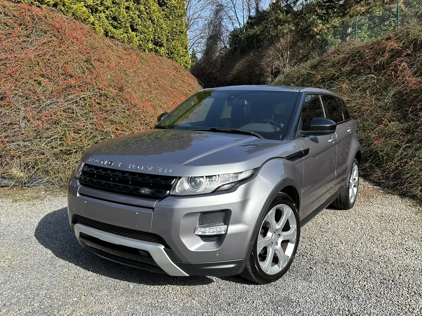 Land Rover Range Rover Evoque 2.2 TD4 4WD Dynamic /Parfait état /Full options!! Grau - 1