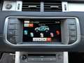 Land Rover Range Rover Evoque 2.2 TD4 4WD Dynamic /Parfait état /Full options!! Grau - thumbnail 29