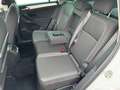 Volkswagen Tiguan 1.5 TSI Sport ACT R-Line Blanc - thumbnail 26