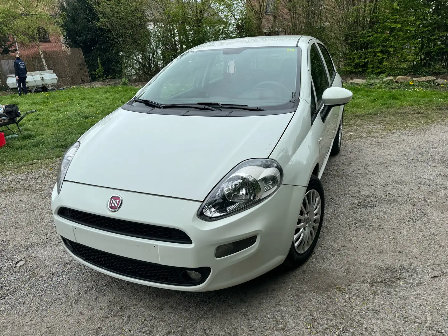 Fiat Punto 1.2i Young II Wit - 1