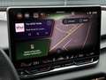 CUPRA Terramar VZ 2.0 TSI DSG 4D PANO/MATRIX/SENNHEISER Gris - thumbnail 15