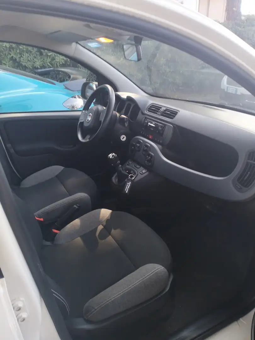 Fiat Panda 1.0 firefly hybrid City Life s&s 70cv - 2