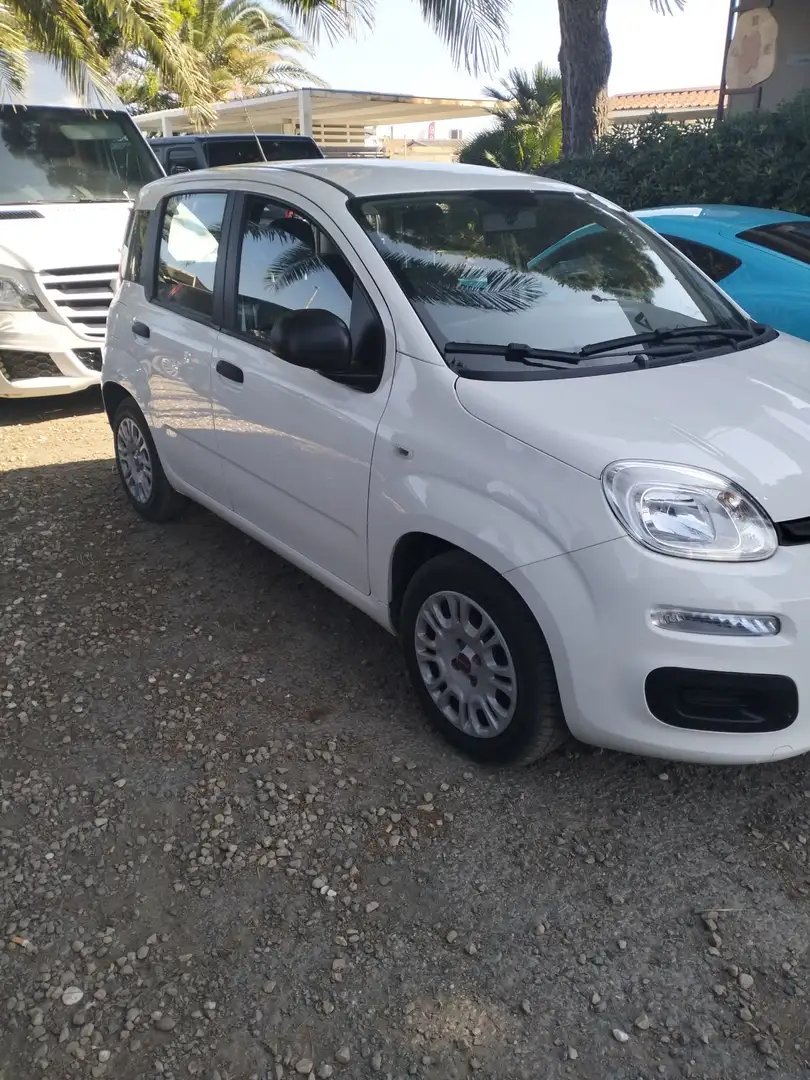 Fiat Panda 1.0 firefly hybrid City Life s&s 70cv - 1
