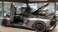 Lamborghini Aventador SV Roadster 1of 500 Lift/Carbon Сірий - thumbnail 13