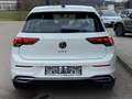 Volkswagen Golf 1.4 GTE DSG Plug-In 245cv Pronta in SEDE!!! Bianco - thumbnail 5