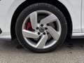 Volkswagen Golf 1.4 GTE DSG Plug-In 245cv Pronta in SEDE!!! Bianco - thumbnail 8