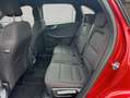 Ford Kuga 2.0 EcoBlue Aut. ST-LINE Rot - thumbnail 14