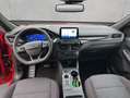 Ford Kuga 2.0 EcoBlue Aut. ST-LINE Rot - thumbnail 10