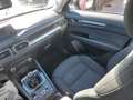 Mazda CX-5 2.0 Evolution Navi 2WD 121kW Rouge - thumbnail 22