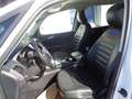 Ford Galaxy 2,5 Duratec Hybrid Edition Aut. Weiß - thumbnail 13
