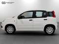 Fiat New Panda 1.0 FireFly Hybrid Pop Bianco - thumbnail 2