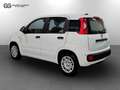 Fiat New Panda 1.0 FireFly Hybrid Pop Bianco - thumbnail 3