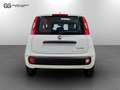 Fiat New Panda 1.0 FireFly Hybrid Pop Bianco - thumbnail 5