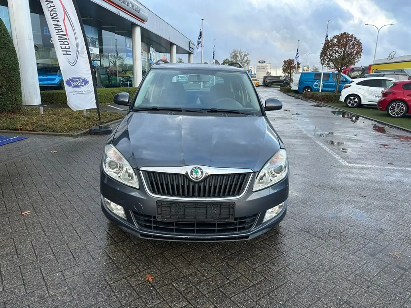 Skoda Fabia Enkel voor professionele verkoop Grijs - 2