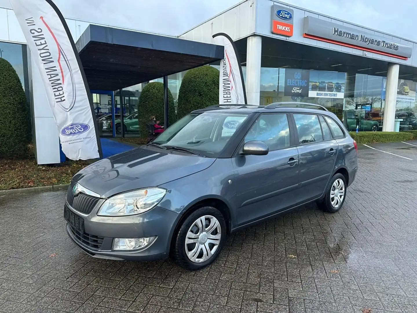 Skoda Fabia Enkel voor professionele verkoop Grijs - 1