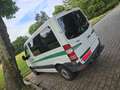 Mercedes-Benz Sprinter 316 CDI Sprinter 906.133 EEV Weiß - thumbnail 5