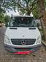 Mercedes-Benz Sprinter 316 CDI Sprinter 906.133 EEV Weiß - thumbnail 2