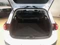 Ford Focus Turnier 1,5 EcoBlue Active Aut. Weiß - thumbnail 6