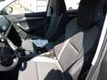 Skoda Karoq Selection  AHK  Panoramadach 5 Jahre Gar. Grau - thumbnail 10