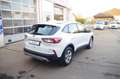Ford Kuga 1.5 EcoBoost Cool & Connect, AHK, LED Weiß - thumbnail 5