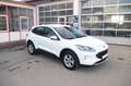 Ford Kuga 1.5 EcoBoost Cool & Connect, AHK, LED Weiß - thumbnail 3