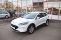 Ford Kuga 1.5 EcoBoost Cool & Connect, AHK, LED Weiß - thumbnail 1