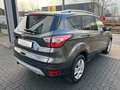 Ford Kuga 1.5 Titanium Bi-Xenon|Navi|Sitzheizung|AHK Gris - thumbnail 6