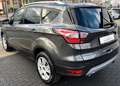 Ford Kuga 1.5 Titanium Bi-Xenon|Navi|Sitzheizung|AHK Gris - thumbnail 4