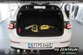Volkswagen Golf GTE 1,5 TSI eHybrid DSG Black Style Business 18Zol Weiß - thumbnail 5