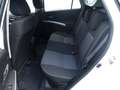 Suzuki SX4 S-Cross SX4 S-Cross 1.6 ALLGRIP ID shine Weiß - thumbnail 13