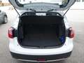 Suzuki SX4 S-Cross SX4 S-Cross 1.6 ALLGRIP ID shine Weiß - thumbnail 14