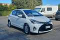 Toyota Yaris Yaris 1.4 D-4D 5 porte Lounge Bianco - thumbnail 3