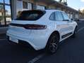 Porsche Macan Macan 2.0 265cv pdk - thumbnail 3