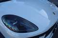 Porsche Macan Macan 2.0 265cv pdk - thumbnail 5