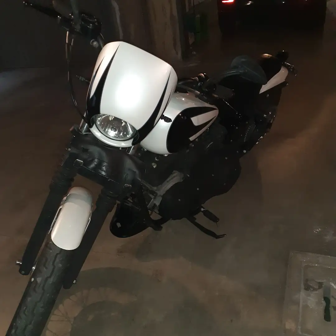 Harley-Davidson FXD Bianco - 2